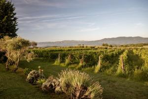 Agriturismo San Jacopo