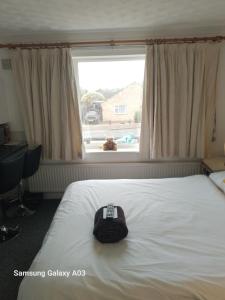 Windsor 1 Hunstanton