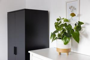 Sunny 1 bedroom apartment, Ocean house, East wittering