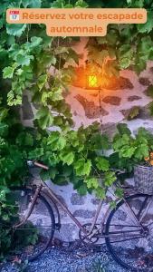 Domaine de la Jarrige