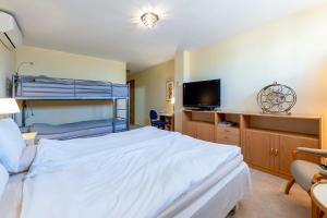 Villa Roca One-Bedroom Flat Dormitory room