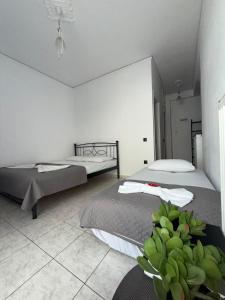 Le Bel Appartement DAntigoni