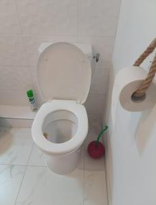 Studio Athena la part de divinité en moi à Beziers