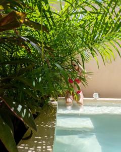 Yax Kiin Casa Boutique