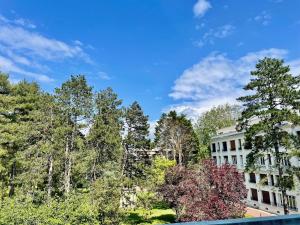 Studio dans la résidence Hermitage
