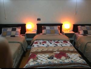 Private Family Apartment in Dokki