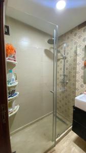 Luxury capital apartment