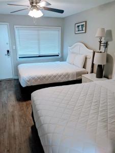 Great Ocean Front Condo in Heart of Myrtle Bech