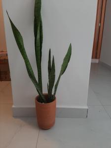 Intermares 1 quarto e 1 suíte, varanda, 250metros da praia