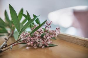 Ionian Luxury Apartments