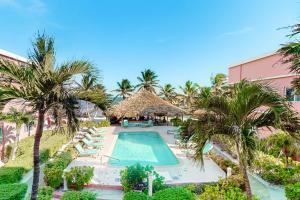 Dhalia #21 at Caribe Island -Gold Standard Certified