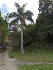 Estúdio Raiz da Mata