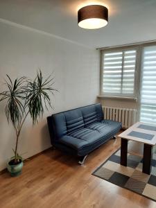 Apartament 59 , ranczoturystyka Bielawa Sudety