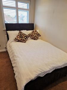 Beautiful & Spacious 6 bedroom house