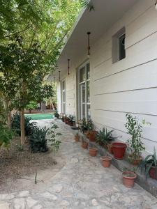 AL- aqyr Rest Garden أستراحة حارة العقر