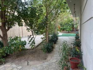 AL- aqyr Rest Garden أستراحة حارة العقر