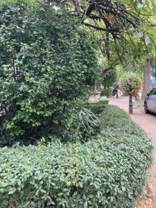 Premium Ruhiges ganzes Apartment 90 m 2 Schlafzimmer große Küche Wohnzimmer