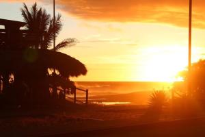 Espectacular Suite Frente a Playa Zicatela 1BDR