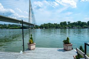 Unique River Houseboat Stay