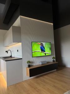 Apartament Warszawska