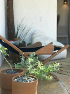 KOA Loft - Praia de Moitas