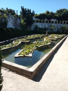 VISiT CASTELO BRANCO