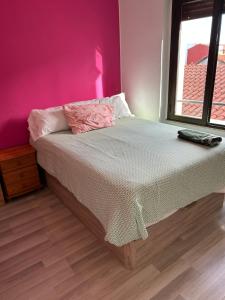 Vivienda rosa barrio húmedo