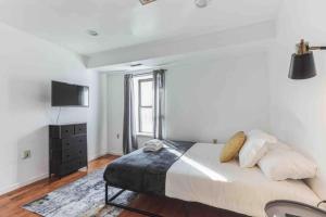 Large 3BR in Spring Garden