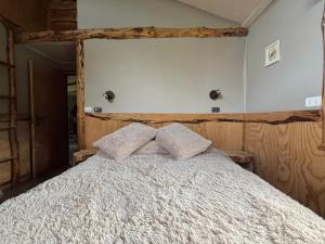 cabaña eco las torres del simpson aysen patagonia