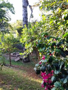 5 Star Nature Escape near the airport