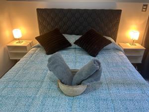 1H1B I Movistar Arena I Con Estacionamiento