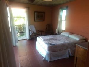 House with garden on the beach