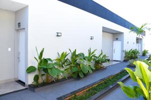 Flat Brasil Piscina e Conforto