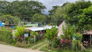 Apartamentos Equipados DMR #3 - 4hvězdičkové hotely ve městě Uvita