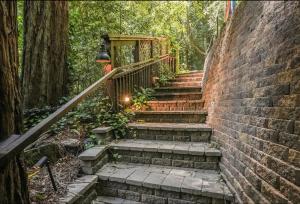 Norcal Hideaway - Dogs OK