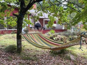 Charming Lake Cottage with Sauna