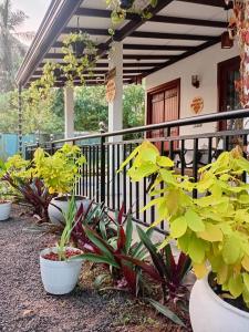 Lovers Gem Villa Hiriketiya