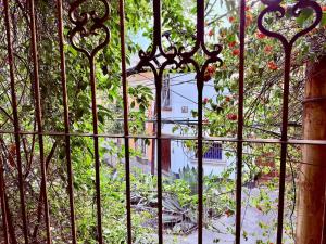 Tizapan 04 NEW 1BE&1BA