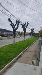 Hospedaje - Apart Hotel Las Higueras Talcahuano