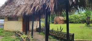 Hotel-ECOPOSADA KARANÁ NATIVA, SONIDOS DE LA SELVA