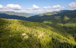 Pet Friendly Home In Cortona Ar