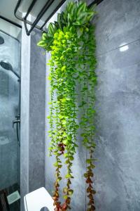 Kindaruma Homes Kilimani-Nairobi