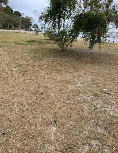 condominio araguaia tocantis