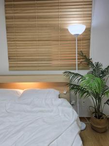 서울 따뜻한 집