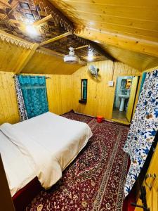 houseboat star ruby snow view