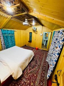 houseboat star ruby snow view