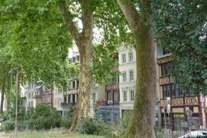 Studio jardin de lhôtel de ville