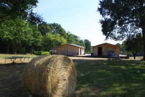 Maisons de vacances O Bois Dormant : photos des chambres