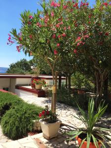 Apartments Villa Novi