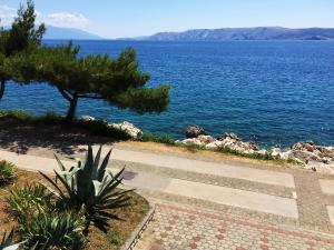 Apartments Villa Novi